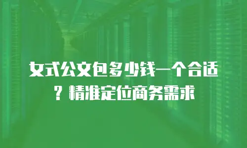 女式公文包多少钱一个合适？精准定位商务需求