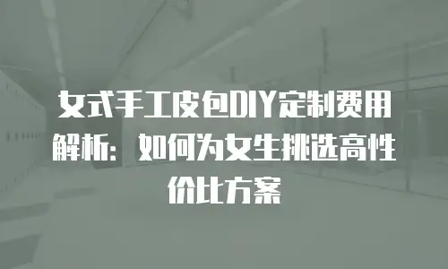 女式手工皮包DIY定制费用解析：如何为女生挑选高性价比方案