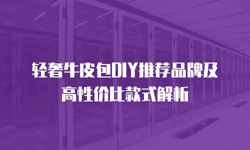 轻奢牛皮包DIY推荐品牌及高性价比款式解析