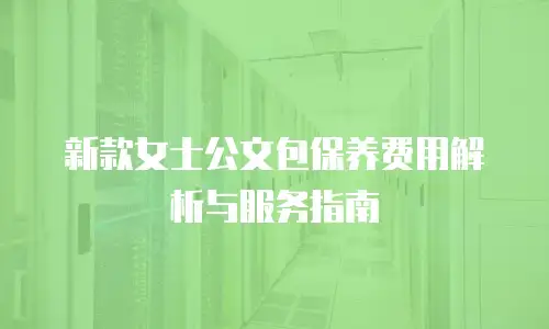 新款女士公文包保养费用解析与服务指南