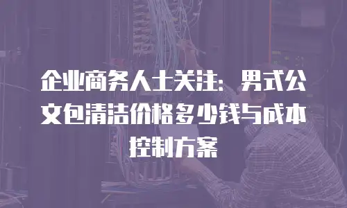 企业商务人士关注：男式公文包清洁价格多少钱与成本控制方案