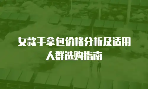女款手拿包价格分析及适用人群选购指南