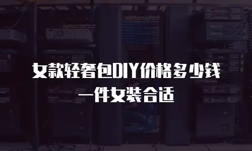 女款轻奢包DIY价格多少钱一件女装合适