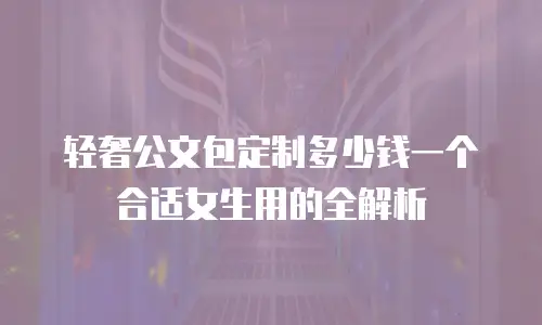 轻奢公文包定制多少钱一个合适女生用的全解析