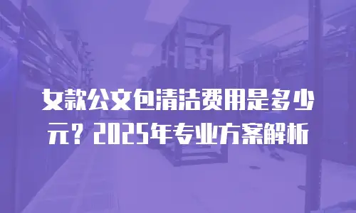 女款公文包清洁费用是多少元？2025年专业方案解析