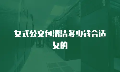 女式公文包清洁多少钱合适女的