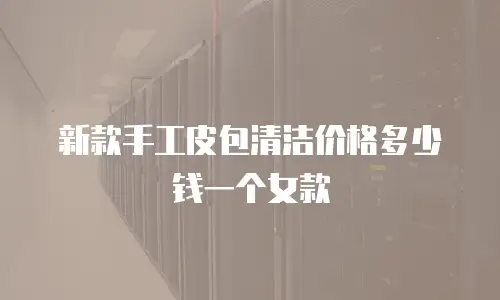 新款手工皮包清洁价格多少钱一个女款