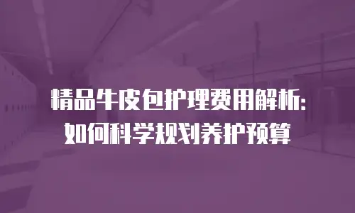 精品牛皮包护理费用解析：如何科学规划养护预算
