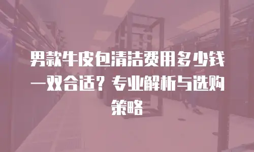 男款牛皮包清洁费用多少钱一双合适？专业解析与选购策略
