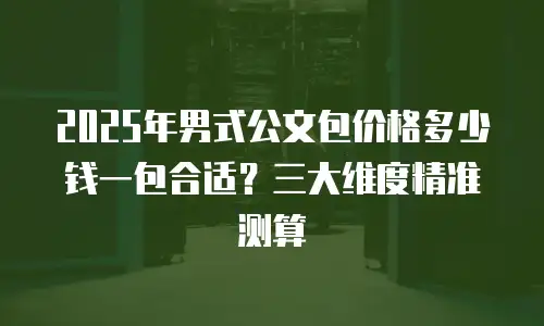 2025年男式公文包价格多少钱一包合适？三大维度精准测算
