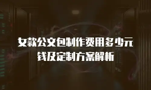 女款公文包制作费用多少元钱及定制方案解析