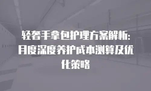 轻奢手拿包护理方案解析：月度深度养护成本测算及优化策略