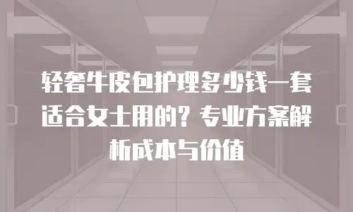 轻奢牛皮包护理多少钱一套适合女士用的？专业方案解析成本与价值