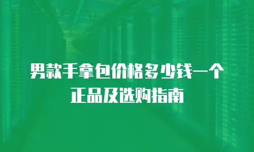 男款手拿包价格多少钱一个正品及选购指南