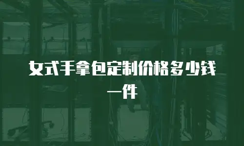 女式手拿包定制价格多少钱一件