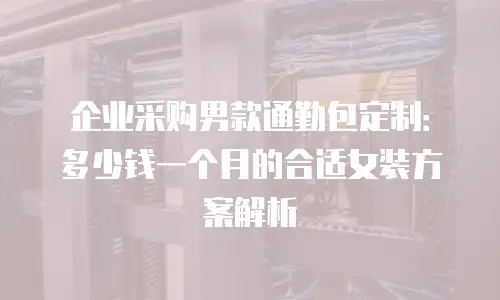 企业采购男款通勤包定制：多少钱一个月的合适女装方案解析