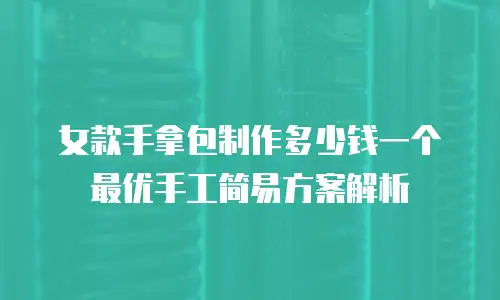 女款手拿包制作多少钱一个 最优手工简易方案解析