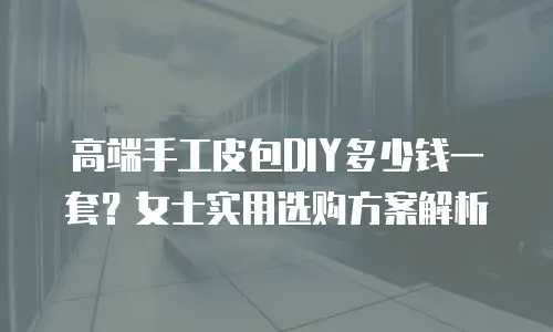 高端手工皮包DIY多少钱一套？女士实用选购方案解析