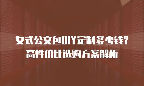 女式公文包DIY定制多少钱？高性价比选购方案解析