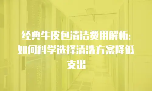 经典牛皮包清洁费用解析：如何科学选择清洗方案降低支出