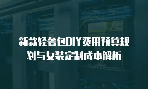 新款轻奢包DIY费用预算规划与女装定制成本解析