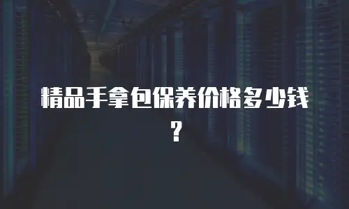 精品手拿包保养价格多少钱？