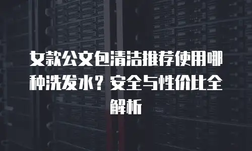 女款公文包清洁推荐使用哪种洗发水？安全与性价比全解析
