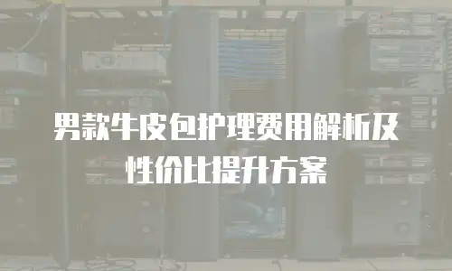 男款牛皮包护理费用解析及性价比提升方案