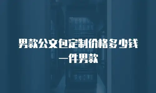 男款公文包定制价格多少钱一件男款