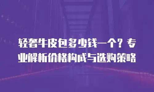 轻奢牛皮包多少钱一个？专业解析价格构成与选购策略