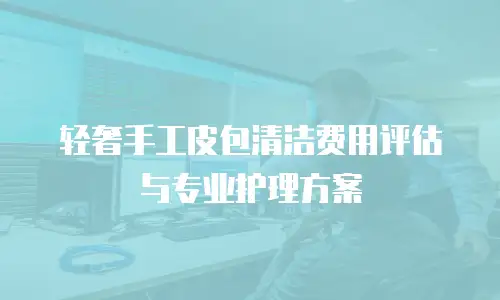 轻奢手工皮包清洁费用评估与专业护理方案