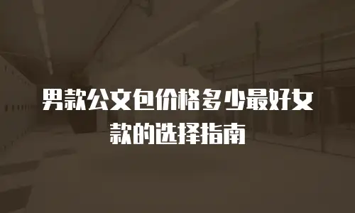 男款公文包价格多少最好女款的选择指南