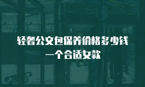 轻奢公文包保养价格多少钱一个合适女款