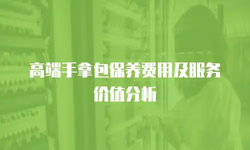 高端手拿包保养费用及服务价值分析