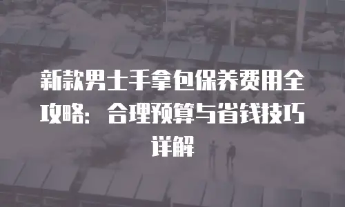 新款男士手拿包保养费用全攻略：合理预算与省钱技巧详解