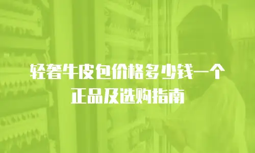 轻奢牛皮包价格多少钱一个正品及选购指南
