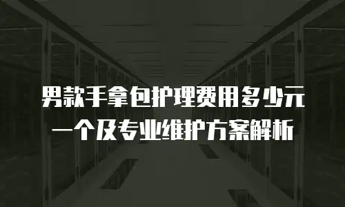男款手拿包护理费用多少元一个及专业维护方案解析