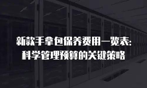 新款手拿包保养费用一览表：科学管理预算的关键策略