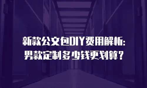 新款公文包DIY费用解析：男款定制多少钱更划算？