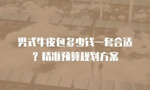 男式牛皮包多少钱一套合适？精准预算规划方案