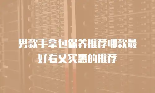 男款手拿包保养推荐哪款最好看又实惠的推荐