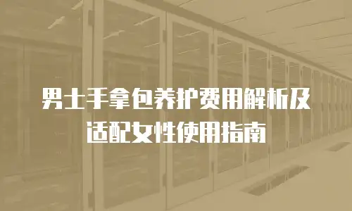 男士手拿包养护费用解析及适配女性使用指南