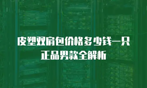 皮塑双肩包价格多少钱一只正品男款全解析