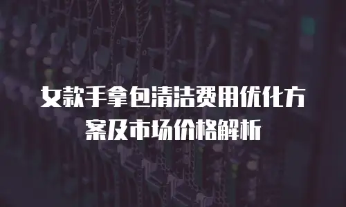 女款手拿包清洁费用优化方案及市场价格解析