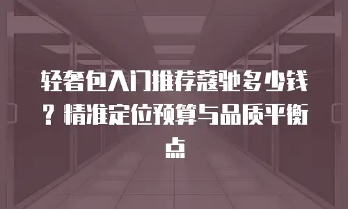 轻奢包入门推荐蔻驰多少钱？精准定位预算与品质平衡点
