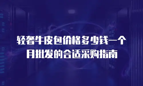 轻奢牛皮包价格多少钱一个月批发的合适采购指南