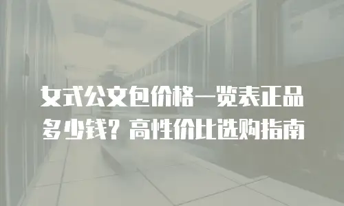 女式公文包价格一览表正品多少钱？高性价比选购指南