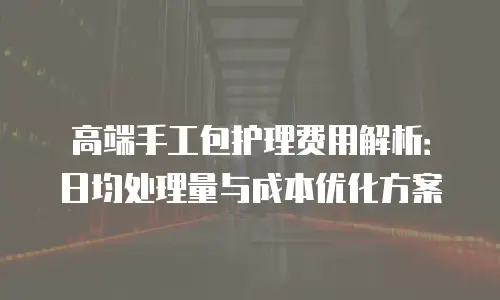 高端手工包护理费用解析：日均处理量与成本优化方案
