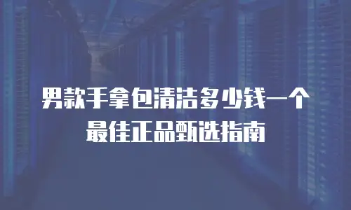 男款手拿包清洁多少钱一个 最佳正品甄选指南