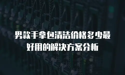 男款手拿包清洁价格多少最好用的解决方案分析